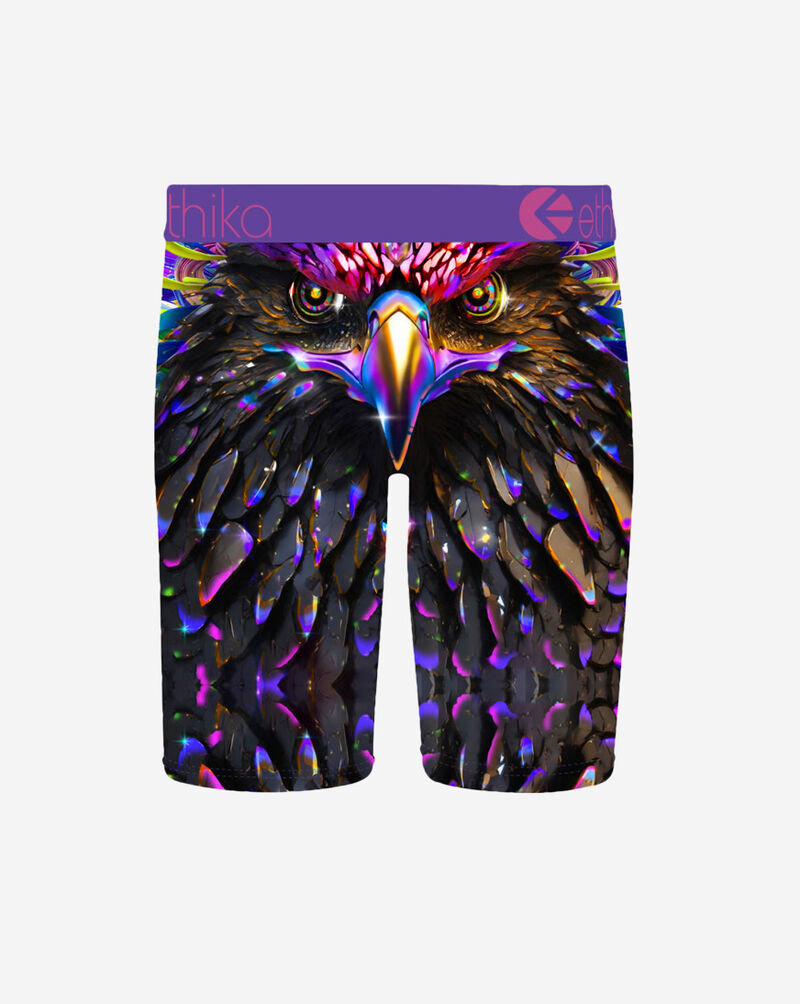 Ethika Grade School Bird Of Prey Briefs  BLST3513 Multi 3