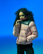 1996 Retro Nuptse Jacket