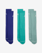 Jordan Everyday Crew 3PK Socks (L) DX9632-925 Multi 3