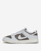 Nike Dunk Low Retro HF5441-202 Brown 1