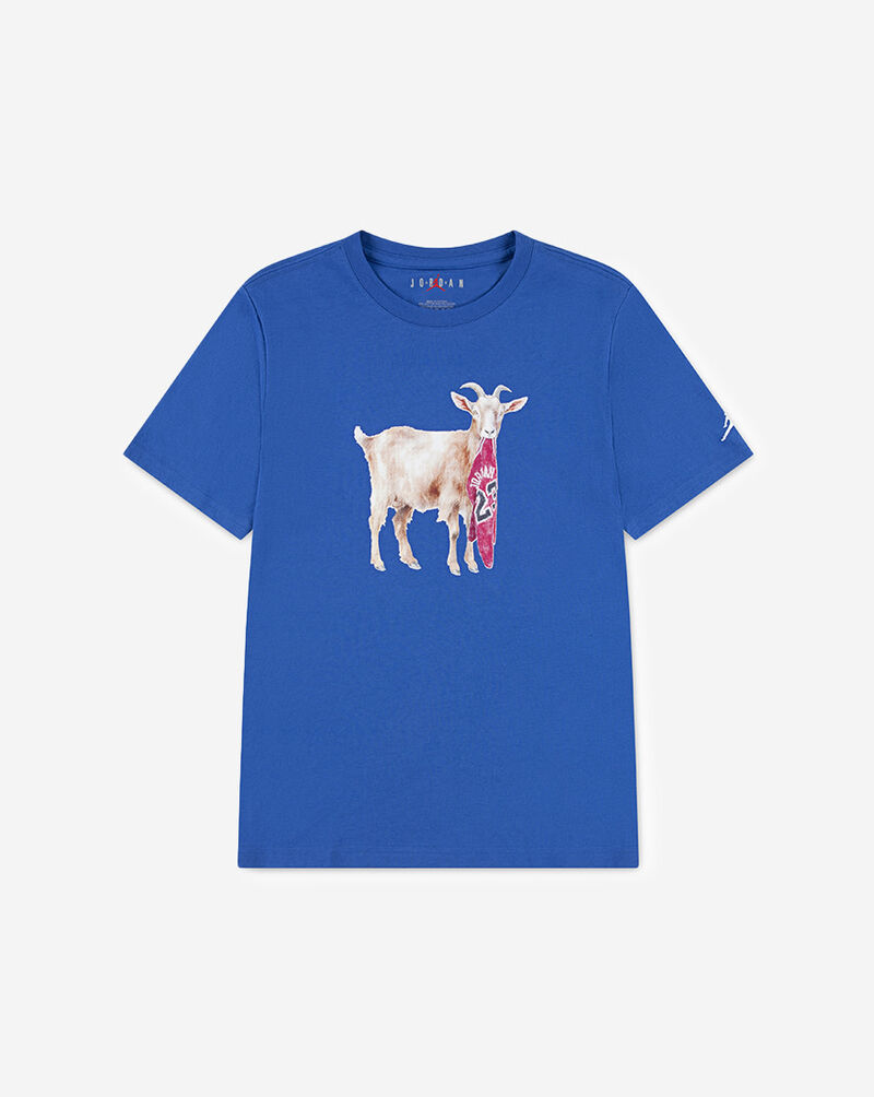 Jordan Big Kids' Goat Tee 95F314-BB7 Blue 1