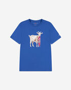Jordan Big Kids' Goat Tee 95F314-BB7 Blue 1