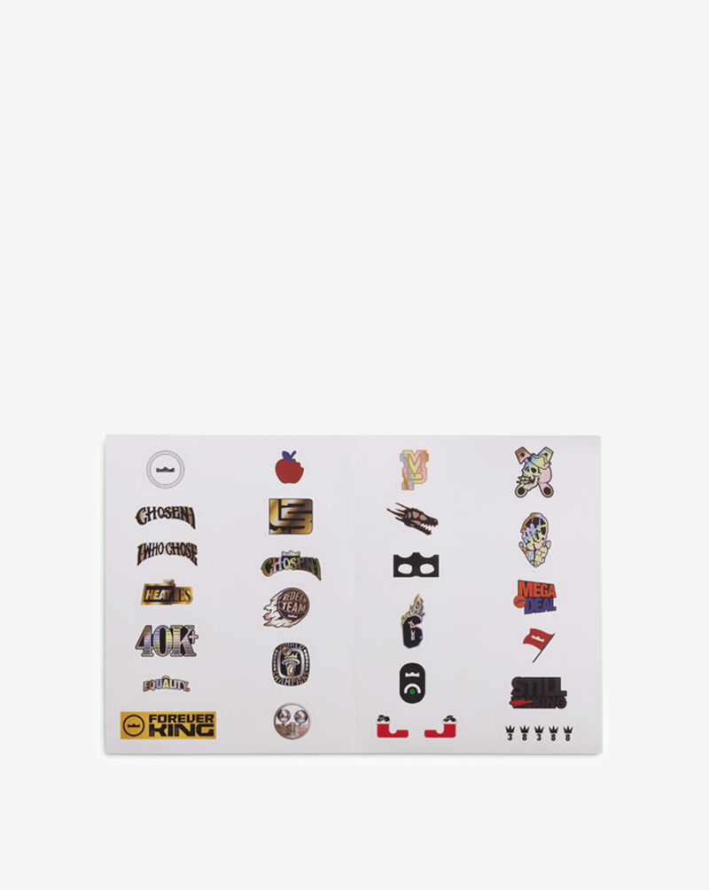 Nike Big Kids' LeBron XXIII "Chosen One" IQ6709-001 Black 10