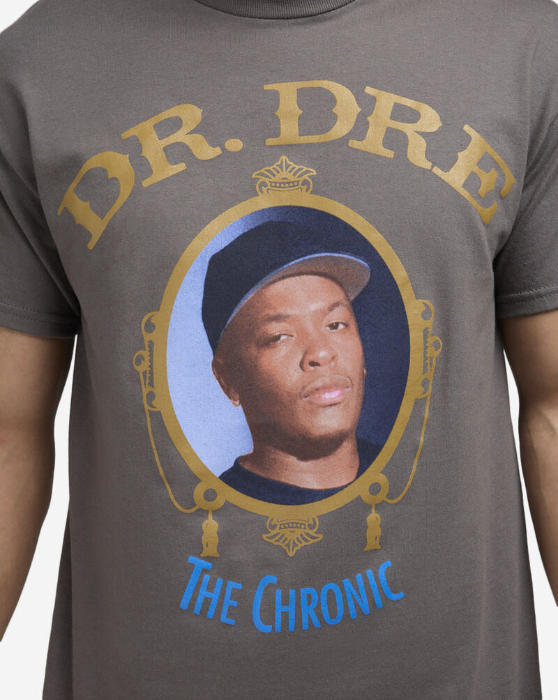 Graphic Tees Dr. Dre Portrait Tee 11471014 Grey 3