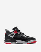 Jordan Big Kids' Spizike Low FQ3950-009 Black 3
