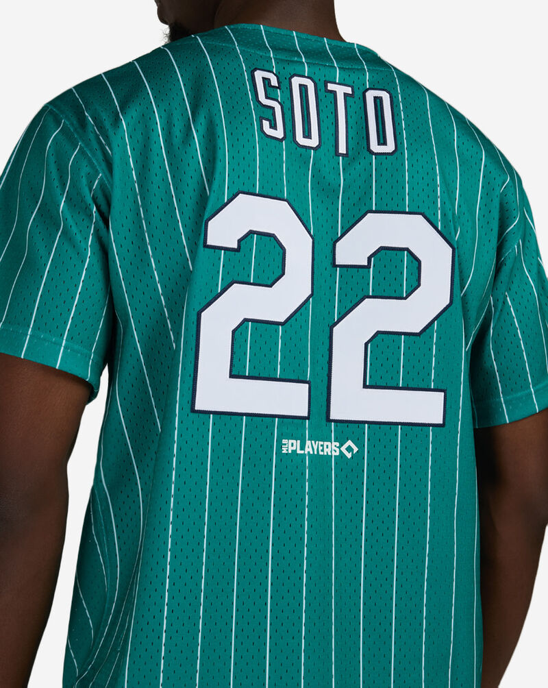Mitchell  Ness New York Lincoln Giants Juan Soto Authentic Batting Practice Pinstripes Jersey JY19311-NLGDTWH Blue 4