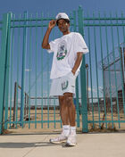 PRO STANDARD pro standard seersucker shorts LNY3315493-SSB Blue 5