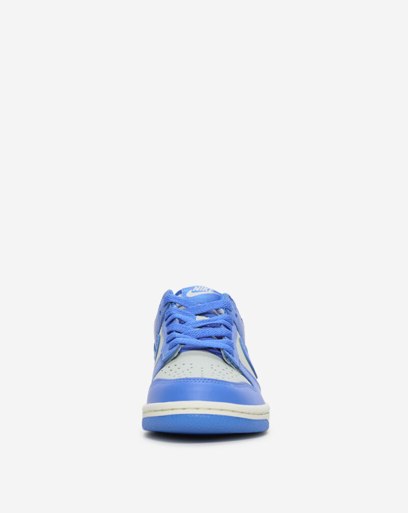 Nike Big Kids' Dunk Low FB9109-004 Blue 3