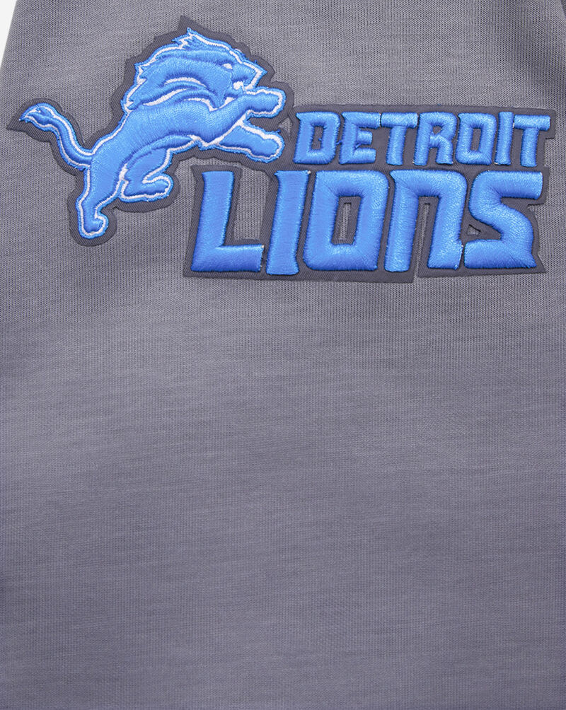PRO STANDARD Detroit Lions Classic Chenille Double Knit Full-Zip Pull Over Hoodie FDL5410273-GRY Grey 2