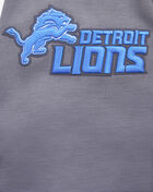 PRO STANDARD Detroit Lions Classic Chenille Double Knit Full-Zip Pull Over Hoodie FDL5410273-GRY Grey 2