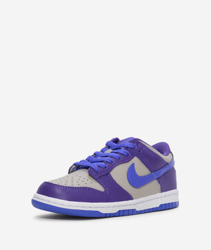 Big Kids' Dunk Low