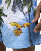 Paradise Mesh Shorts