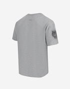 PRO STANDARD Detroit Tigers Neutral Drop Shoulder Tee LDT137634-DHG Grey 2