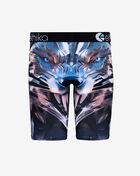 Ethika Grade School Chrome Wolf Briefs  BLST3498 Multi 3