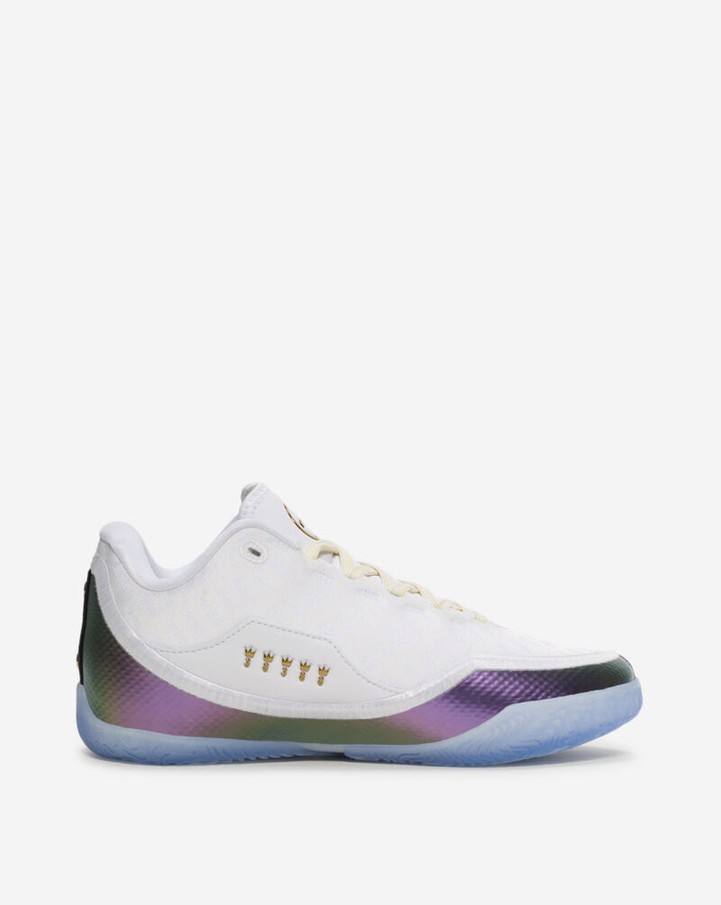 Nike Big Kids' LeBron XXIII "For The Record" IV4873-102 White 4