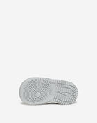 Toddler Dunk Low