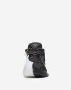 LeBron XX11