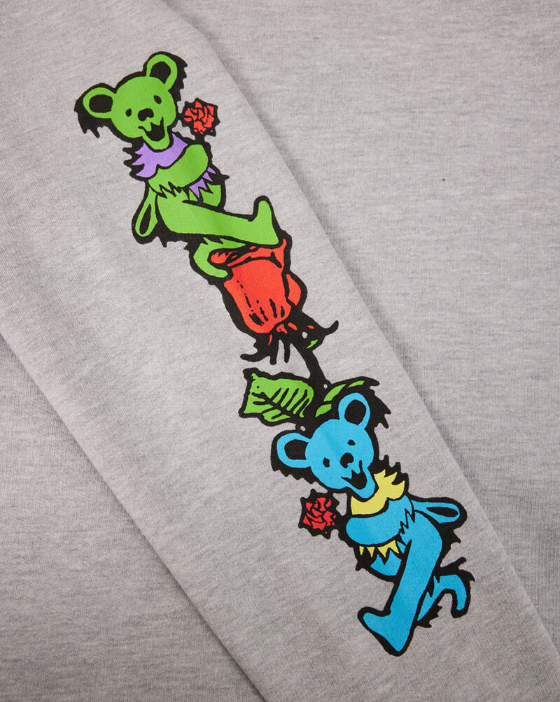 Graphic Hoodie Grateful Dead Hoodie GDYH3420 Grey 4