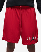 Essential Mesh Graphic Shorts