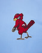 PRO STANDARD St. Louis Cardinals Classic Chenille Double Knit Pull Over Hoodie  LSC531625-UNI Blue 4