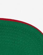 Detroit Pistons Core Basics Snapback