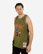 Mitchell & Ness Chicago Bulls Dennis Rodman 1997-98 Swingman Jersey SMJY4847-CBU97DRDDKGN Green 2
