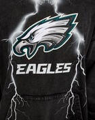 PRO STANDARD Philadelphia Eagles Lightning Hoodie FPE5411741-WBK Black 3