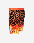 Cheetah Steez Briefs
