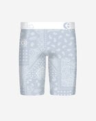 Ethika Ice Paisley Briefs MHOAAJ2512 Multi 3