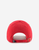 Atlanta Falcons Dad Cap