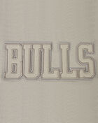 Chicago Bulls Neutral Cropped Pullover Hoodie