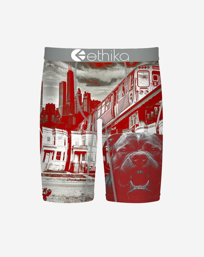Shop Ethika Off The Porch Briefs MHOAAL2510 multi | SNIPES USA