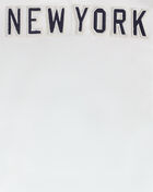 PRO STANDARD New York Yankees Classic Chenille Double Knit Pull Over Hoodie  LNY531152-EGG cream 4