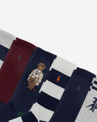 Polo Ralph Lauren Head Of The Charles Bear 6Pk Crew Socks (L) 821594PK3-991 Multi 2
