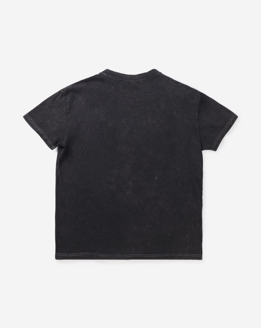 Shop Graphic Tees Prince Tee PSF5TM-704JK-200 grey | SNIPES USA