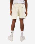 PRO STANDARD Detroit Pistons Area Code Mesh Shorts BDP3515660-EGG White 2