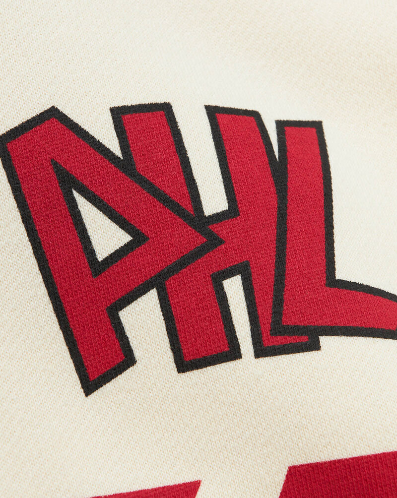 Mitchell  Ness Melody Ehsani Raglan Pullover Philadelphia 76ers OJPO6354-P76YYPPPOFWH White 3