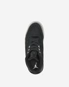 Air Jordan 3 Retro