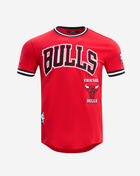 PRO STANDARD Chicago Bulls Retro Classic Double Knit Tee BCB156011-RBK Red 1