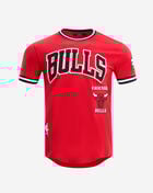 PRO STANDARD Chicago Bulls Retro Classic Double Knit Tee BCB156011-RBK Red 1