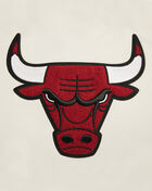 PRO STANDARD Chicago Bulls Retro Classic Rib Fleece Cropped Pullover Hoodie BCBC56221-ERD cream 2