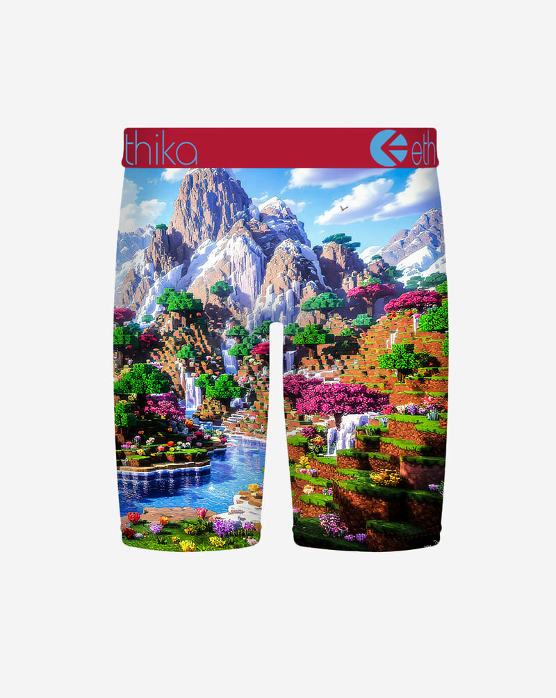 Ethika Block Bound Briefs MSPAAD2608 Multi 3