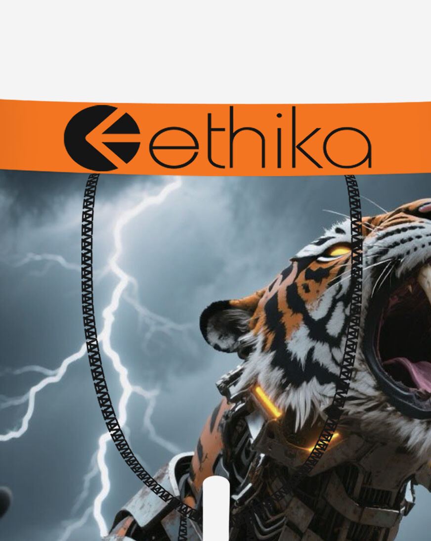 Shop Ethika Cyberfang Briefs MSPAAC2607 multi | SNIPES USA