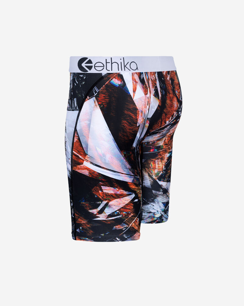 Ethika Glass Tiger Briefs MLUS2975 Multi 2