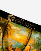 Ethika Where We Came From Briefs MFMAAC2501 Multi 3