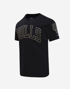 PRO STANDARD Black and Gold Chicago Bulls Tee BCB1513571-BLK Black 2