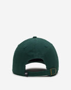 Philadelphia Eagles Clean Up Dad Cap