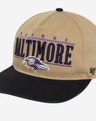 Baltimore Raven City Line Hitch Snapback Hat