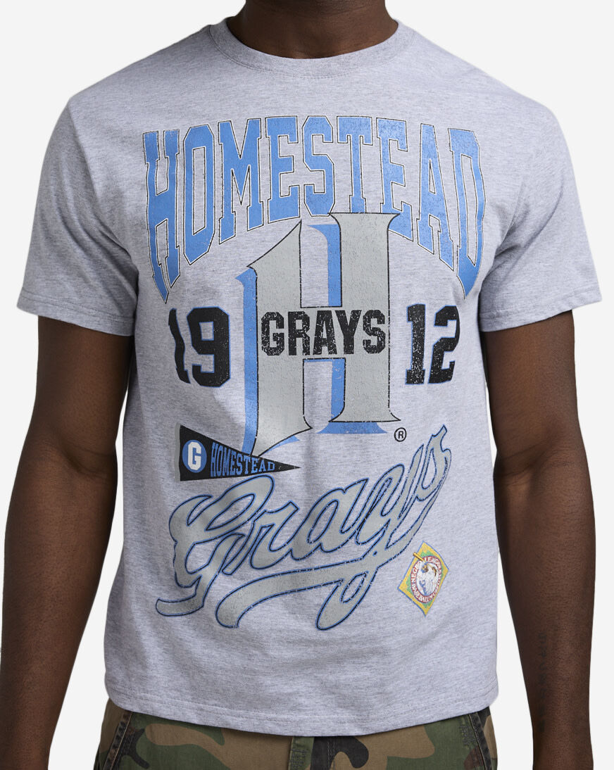 Shop Reason NLB Homestead Grays Tee RE5-048-HTRGRY grey | SNIPES USA