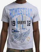 Reason NLB Homestead Grays Tee RE5-048-HTRGRY Grey 3